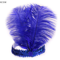 ราคา NCSW ที่คาดผมประดับเลื่อมคริสตัลขนนกอินเดียเครื่องประดับผมแฟชั่นแบบอินเดียสำหรับปาร์ตี้วันหยุด (19700102166)