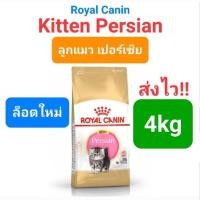 ราคา Royal Canin Persian Adult 4kg Exp 01 25 Kitten Persian 4kg Exp 08 24 โรยัลคานิน แมวโต ลูกแมว เปอร์เซีย ถุง 4 กก (16492179184)