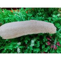 ราคา ใยบวบชนิดบาง ใยบวบใยไม่หนา ใยบวบขัดหน้า ขัดผิว ใยบวบธรรมชาติ ใยบวบ 3 ขนาด (9875952780)