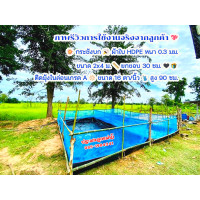 ราคา กระชังบก 2x4 ม ขอบ 30 ซม ผ้า pe หนา 0 3 มิล มุ้งฟ้าไนล่อนเกรด A 90 ซม (16557298682)