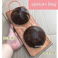 ราคา กะลามะพร้าว กะลานวดฝ่าเท้า กะลาใหญ่ กะลามะพร้าวนวด กะลานวดเท้า กะลานวดสุขภาพ กะลานวดหลัง ไม้นวดเท้า ไม้นวดหลัง แก้รองช้ำ เท้าชา (19129627846)