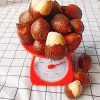 ราคา สละอินโด หวานกรอบ สดจากสวน (18589591380)