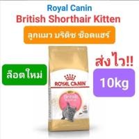 ราคา Royal Canin British Shorthair Kitten 10kg Exp 11 24 British Shorthair Adult 10kg Exp 02 25 อาหารแมวโต ลูกแมว บริติช ถุงขนาด 10 กิโลกรัม (16491991995)