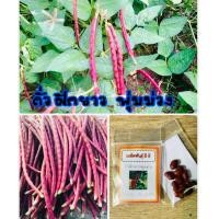 ราคา เมล็ดพันธุ์ ถั่วฝักยาวพุ่มม่วง ถั่วพุ่มม่วง ถั่วฝักยาว ราคาถูก ปลูกง่าย ปลูกไว้ทานกินเอง 10 แถม 1 คละอย่างได้ (9545229546)