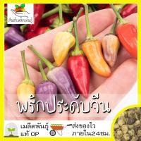 ราคา เมล็ดพันธุ์ พริกประดับจีน 5 สี 50 เมล็ด Chinese Ornamental 5 Color Pepper เมล็ดพันธุ์แท้100 นำเข้าจากต่างประเทศ ปลูกผัก สวนครัว ราคาถูก (3699784879)