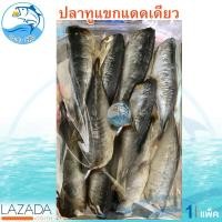 ราคา ปลาทูแขก แดดเดียว 400กรัม 1แพ็ค ปลาทูแขก ปลาทูแขกตากแห้ง ปลาทู ปลาเค็ม ปลาแห้ง ของทะเลแห้ง อาหารทะเล อาหารทะเลแห้ง อาหารทะเลแปรรูป (9864848556)
