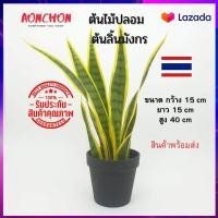 ราคา ต้นไม้มงคล ต้นลิ้นมังกรประดิษฐ์ สูง 40CM ต้นลิ้นมังกรประดิษฐ์ พร้อมกระถางธรรมดา ต้นไม้ปลอมแต่งบ้าน ต้นลิ้นมังกรปลอม (11170055921)