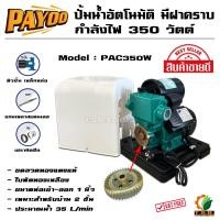 ราคา PAYOO ปั๊มน้ำอัตโนมัติ แรงดันน้ำคงที่ 1นิ้ว 350 วัตต์ PAC350W 450 วัตต์ PAC450W 750วัตต์ PAC750W ใบพัดทองเหลืองแท้ ปั้มน้ำ (436433007)