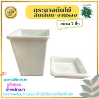 ราคา กระถางสี่เหลี่ยมทรงสูง พร้อมจานรอง สีขาว ขนาด 7 นิ้ว สูง 8 นิ้ว กระถางบอน กระถางมินิมิล พลาสติกหนา เหมาะกับต้นไม้ทรงสูง พร้อมจานนรอง (20440797390)