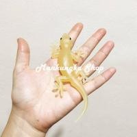 ราคา ตัวใหญ่ ขนาด 5 5 นิ้ว จิ้งจก จิ้งจกปลอม จิ้งจกแกล้งคน สัตว์ปลอม ของเล่นแกล้งคน (16108236153)