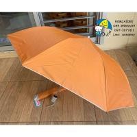 ราคา ร่มพับ 2 ตอน ร่มถวายพระ สีไพร สีดำ มียูวีกันแดด BK205 BK208 (9748184380)