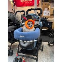 ราคา Compet Reversible Comfort Cushion Combi Baby Fabric Stroller Accessory (20836460607)