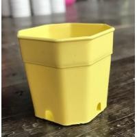 ราคา กระถางแคตัส กระถางต้นไม้ กระถางพลาสติก 2นิ้ว 3นิ้ว 4นิ้ว ทรงแปดเหลี่ยม สี ขาว ดำ อิฐ ชุดละ 50 ใบ (16940819179)