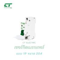 ราคา เซอร์กิตเบรกเกอร์ CT Electric สำหรับตู้แบบรางDIN 1P และ 2P เมน2P ลูกเซอร์กิต (7498890060)