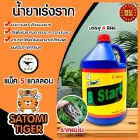 ราคา น้ำยาเร่งราก ทีเร็กซ์ B Start วิตามินบี 1 B1 ขนาด 4ลิตร มีให้เลือก 1 6 แกลลอน ทีเร็กซ์ บีวัน สตาร์ท เร่งราก เรียกราก ช่วยให้พืชแตกรากได้ดี (15444209252)