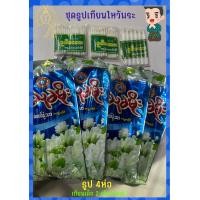 ราคา ชุด ธูปเทียนไหว้พระ ธูปกลิ่นดอกมะลิ 4 ห่อ เทียน3 ห่อ เทียนเล็ก 2 ห่อ เทียนใหญ่ 1 ห่อ (21010741502)