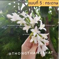 ราคา ดอกปีบ 7แบบ ดอกไม้ติดผม ดอกไม้ประดิษฐ์ ดอกไม้ปักผม ดอกไม้รำไทย ดอกไม้แต่งผม ดอกปีบติดผม ดอกไม้คาดผม ดอกไม้รำงานย่า ย่าโม (17545079320)