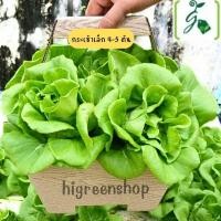 ราคา กระเช้าใหญ่ กระเช้าใส่ผัก กระเช้ากระดาษ กระเช้าปีใหม่ เป็นกล่องกระดาษลายไม้สัก นิยมสุด ให้ราคาถูก (20999010690)