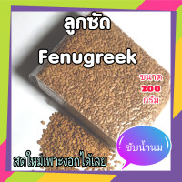 ราคา ลูกซัด ถั่วลูกซัด สมุนไพรขับน้ำนม ขับน้ำนม Fenugreek เพาะงอกไมโครกรีน Microgreens ขนาด 200 กรัม organic 100 (11496645700)