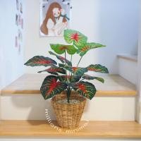 ราคา ต้นไม้ปลอม ต้นไทรใบสัก พร้อมตะกร้าหวาย แถมฟรีหินโรยจ้าา (19725222671)