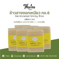 ราคา ข้าวฮางงอกเหนียว กข 6 ข้าวออแกนิค ข้าวนาปี ผลิตภัณฑ์มี อย โรงงานได้รับมาตรฐาน ข้าวเก็บได้นาน 1 ปี ขนาดน้ำหนัก 1 กก ถุง (8818042492)