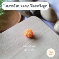 ราคา โมเดลผลไม้จิ๋ว สำหรับทำโมเดล ฉาก Diorama จัดสวนถาด สวนโหลแก้ว บ้านตุ๊กตา Miniature (18297724119)