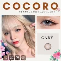 ราคา คอนแทคเลนส์ Cocoro Gray Brown ยี่ห้อ Kitty kawaii ค่าสายตาปกติ 700 (18318313629)
