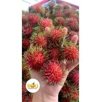 ราคา เงาะโรงเรียน เงาะ หวาน อร่อย ผลไม้สด ผลไม้ ผลไม้นำเข้า Rambutan Fruit (19825249516)