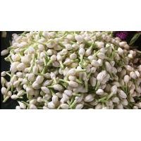 ราคา พร้อมส่ง ดอกมะลิเก็บสดจากสวน มะลิร้อยมาลัย 100 กรัม (20983805401)