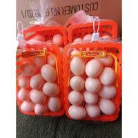 ราคา ไข่ไก่ 12 ฟอง ไข่ไก่ปลอม ไข่ของเล่น ไข่เป็ด 10 ฟอง ไข่ของเล่น ไข่เป็ดปลอม ราคาถูก (16299995058)