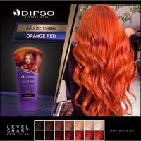 ราคา ดิปโซแว็กDIPSO WAXครีมเปลี่ยนสีผมโฉมใหม่พร้อมส่ง (14319398050)