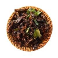 ราคา จิ้งหรีดทอด วันต่อวัน หอม อร่อย ไม่หืน (21086073816)