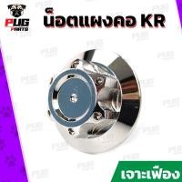 ราคา น็อตแผงคอKR หัว เจาะเฟือง เลส ทอง อุดแผงคอKR น๊อตแผงคอKR น็อตสแตนเลสแท้ (8858907081)