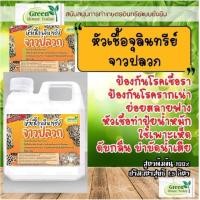 ราคา หัวเชื้อ จุลินทรีย์จาวปลวก สูตรเข้มข้น ตราgreen house today ขวดใหญ่ 1 ลิตร ป้องกันเชื้อรา โรครากเน่า หัวเชื้อปุ๋ย ย่อยฟา (18314573221)
