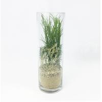 ราคา สวนโหลแก้ว ต้นไม้ประดิษฐ์ในโหลแก้ว สวนขวดแก้วประดิษฐ์ (14481901746)