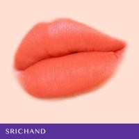 ราคา SRICHAND Feelin Me Matte Liquid Lip 3 g ศรีจันทร์ ฟิลลิน มี แมทต์ ลิควิด ลิป 10 เฉดสี (20549226020)