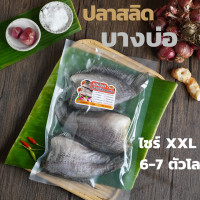 ราคา ปลาสลิดบางบ่อ ปลาสลิดแดดเดียว 6 7 ตัวโล ไม่เค็ม (14948283446)