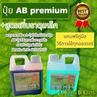 ราคา ปุ๋ยไฮโดรโปนิกส์ ปุ๋ยAB ปุ๋ยน้ำ ปุ๋ยผักสลัด สำหรับปลูกผัก Hydroponics ขนาด1000ML New สูตรใหม่ (12972453271)