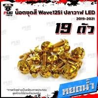 ราคา น็อตชุดสีเวฟ125i ปลาวาฬ LED 1ชุด 19 น๊อตชุดสีWave125i ปลาวาฬLED น็อตเฟรมเวฟ125i น็อตเวฟ125i ปลาวาฬ LED น็อตสแตนเลส (10236436597)