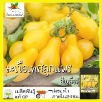ราคา เมล็ดพันธุ์ มะเขือเทศ ลูกแพรสีเหลือง 80 เมล็ด Yellow Pear Tomato seed เมล็ดพันธุ์แท้ นำเข้าจากต่างประเทศ ปลูกผัก สวนครัว (8390285408)