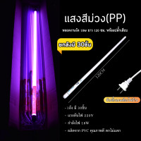 ราคา หลอดไฟงานวัดT8 30ชุด หลอดไฟงานวัดLED พร้อมปลั๊ก T8 ไฟงานวัด หลอดนีออนสี หลอดไฟงานวัด (19652062427)