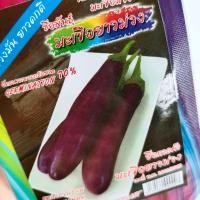 ราคา เมล็ดพันธุ์ มะเขือยาวม่วง 0 5 g สีม่วงมัน ยาว ดก มะเขือยาว ตราม้ารุ้ง เมล็ดผัก มะเขือ (20160466425)