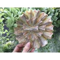 ราคา พร้อมส่ง ปลากระดี่ตากแห้ง ปลากระดี่ 5 วง ขนาดตัวปลามีไซร์เล็ก ใหญ่ตามธรรมชาติ สด ใหม่ สะอาด รสชาติไม่เค็มมากทอดทานกับข้าวร้อนๆแซ่บ (7232804452)