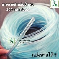 ราคา สายยางสำหรับปั้มลม สายออกซิเจนตู้ปลา บ่อปลา สายต่อออกซิเจน ความยาว 10 เมตร (9512552946)