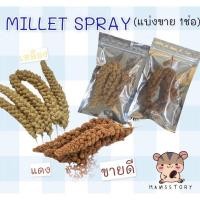 ราคา มิลเล็ตสเปรย์สำหรับสัตว์เลี้ยงฟันแทะทุกชนิด (16411950269)