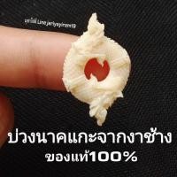 ราคา บ่วงนาค งาช้างของแท้100 บ่วงนาคงา ขนาด1นิ้ว (20537192657)