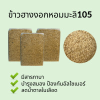 ราคา ข้าวฮางงอกหอมมะลิอินทรีย์ 100 ไร้สารเคมีทุกชนิด นุ่ม ทานง่าย Organic rice (10312709149)