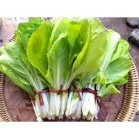 ราคา เมล็ดพันธุ์ ผักกาดขาวน้อย ผักกาดขาวเบา 5000 เมล็ด 10 แถม 1 คละได้ (10697417086)