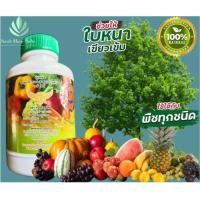 ราคา ปุ๋ยน้ำ301 ช่วยให้พืชโตเร็ว ใบเขียว ใหญ่ สร้างภูมิคุ้มกันให้กับพืช นวัตกรรมพิเศษ สำหรับพืชทุกชนิด (18731864459)
