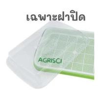 ราคา 10 ถาด ถาดเพาะต้นอ่อนไร้ดิน ถาดปลูกผักต้นอ่อน ถาดเพาะผักไมโครกรีน ต้นอ่อนข้าวสาลี ต้นอ่อนผักบุ้ง ต้นอ่อนทานตะวัน เพาะถั่วงอก (21097659836)